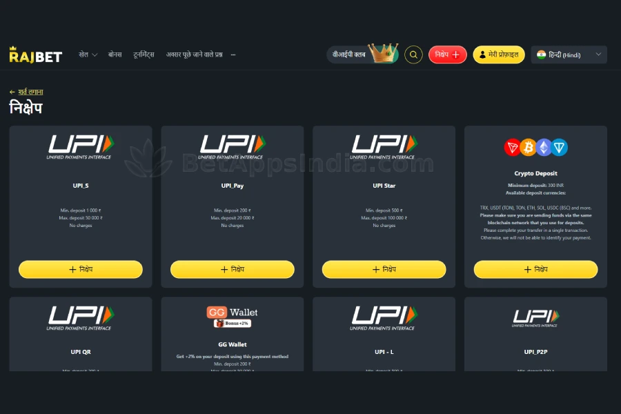 RajBet cashier page with the interface switched to Hindi